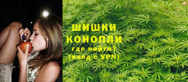 шишки Усмань
