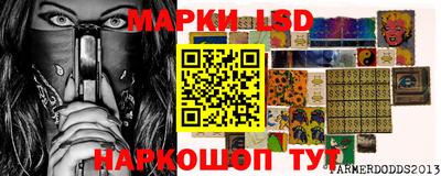 гидропоника Будённовск