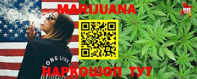 гидропоника Будённовск