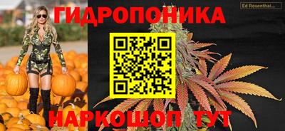 PSILOCYBIN Беслан