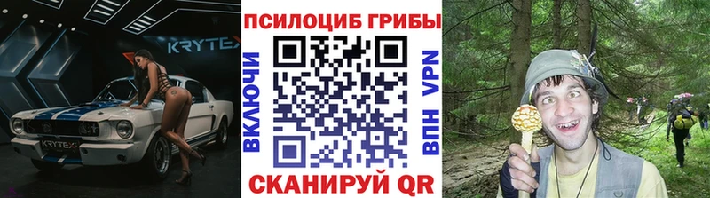 Галлюциногенные грибы Cubensis  продажа наркотиков  Домодедово 