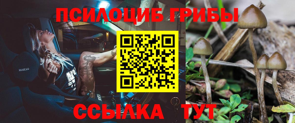Галлюциногенные грибы мухоморы  Вход с VPN  дарнет шоп  Домодедово  Галлюциногенные грибы GOLDEN TEACHER 